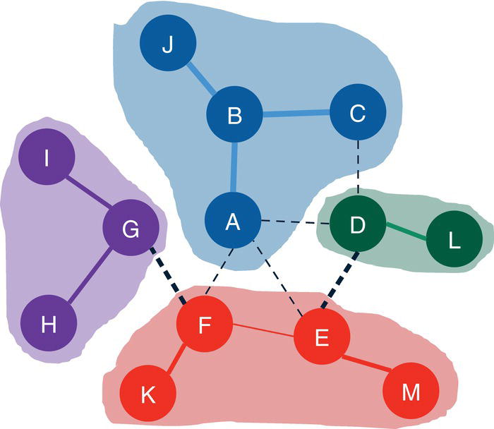 Schematic illustration of communities identified by the label propagation algorithm with the fixed nodes.