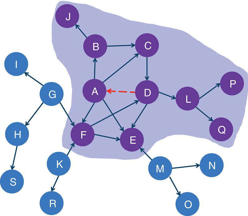 Schematic illustration of cores in highlighted in the directed network.