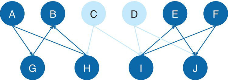 Schematic illustration of input bipartite graph.