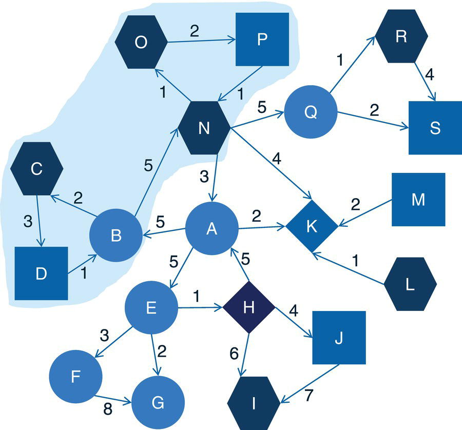 Schematic illustration of pattern matching outcome on the directed graph.