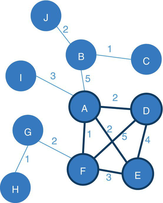 Schematic illustration of single clique within the network based on a set of constraints.