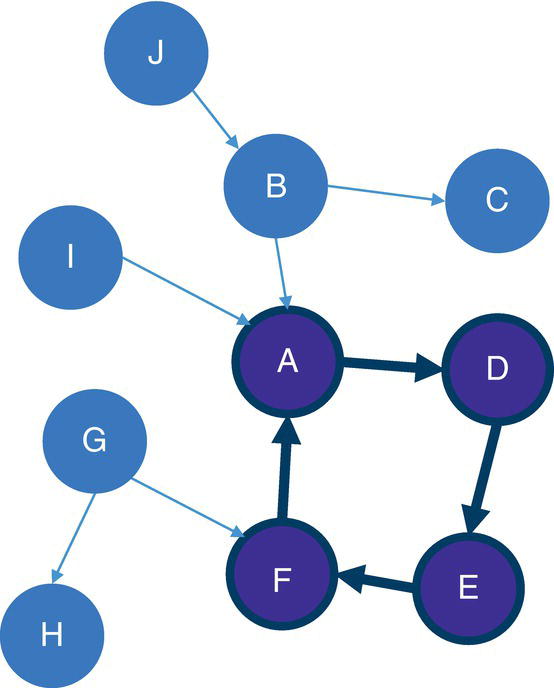 Schematic illustration of single cycle within the input graph.