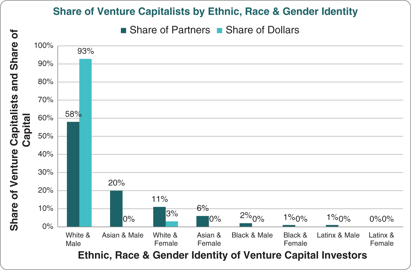 Schematic illustration of share of venture capitalists by race, ethnic, and gender identity. 