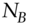 upper N Subscript upper B