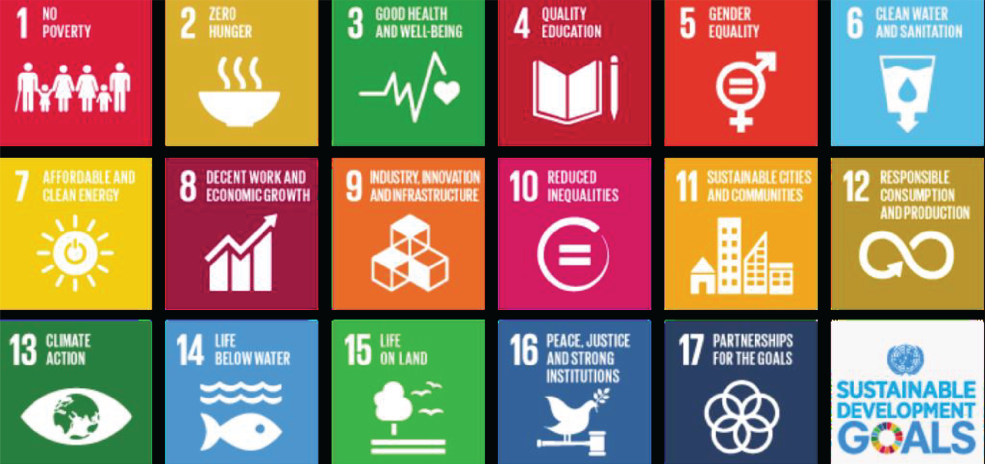 Schematic illustration of united Nations sustainable development goals.