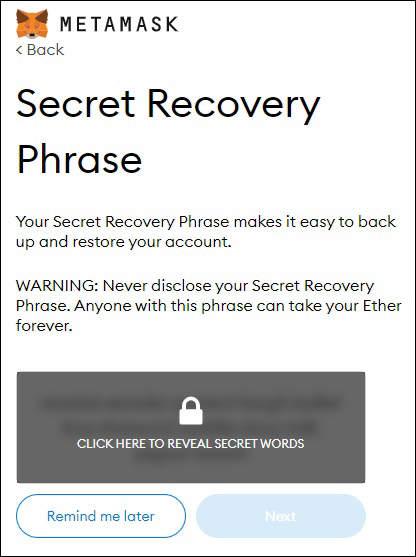 Snapshot of obtaining the MetaMask Secret Recovery Phrase.