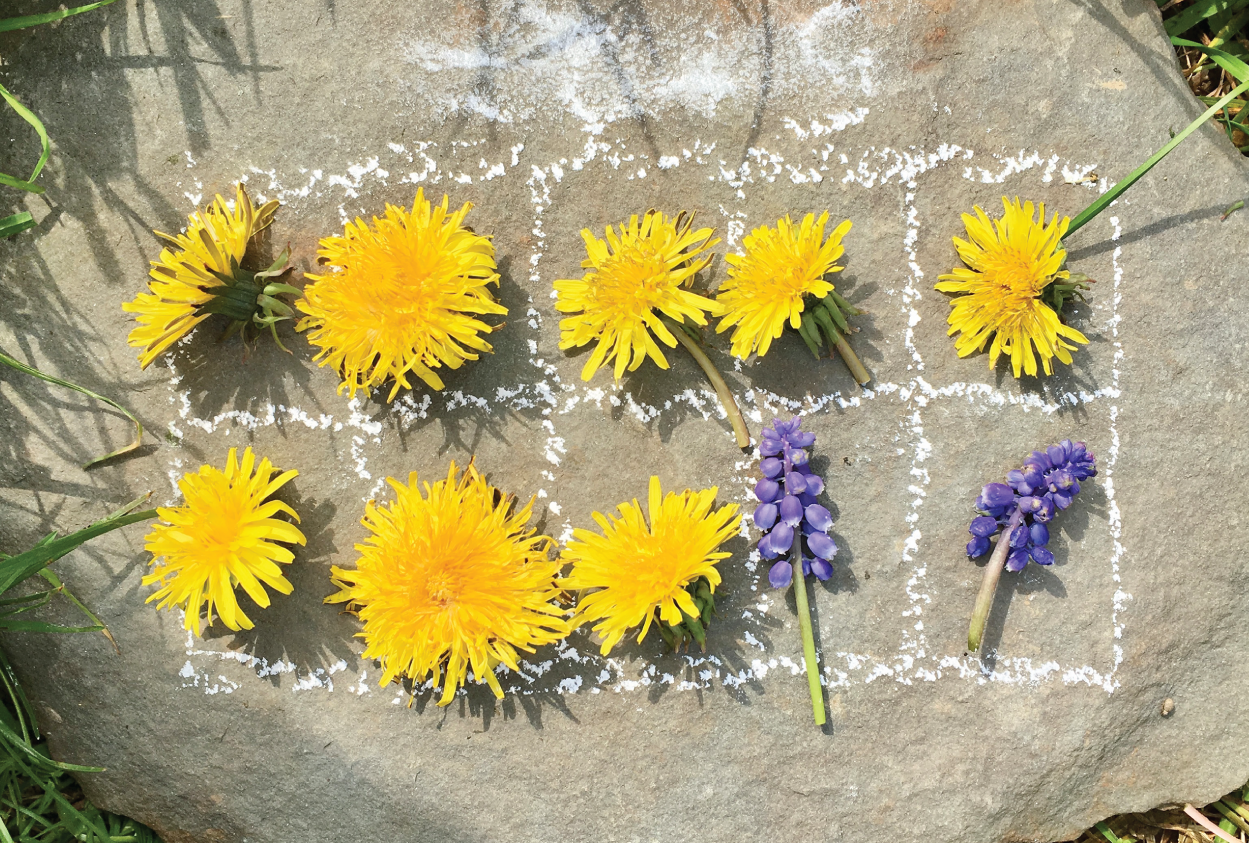 Photo depicts chalk ten frame filled with flowers