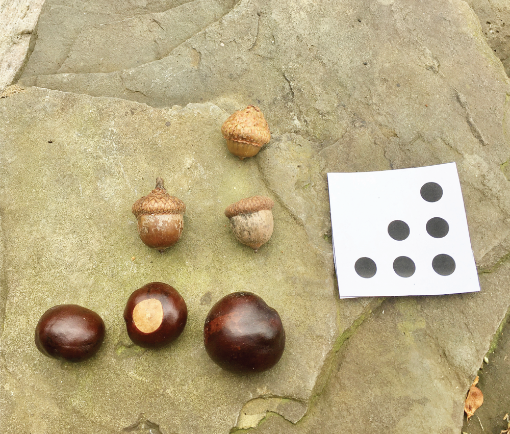 Photo depicts a student practices subitizing using natural materials
to re-create a dot pattern after being shown the
pattern on a card for a few seconds