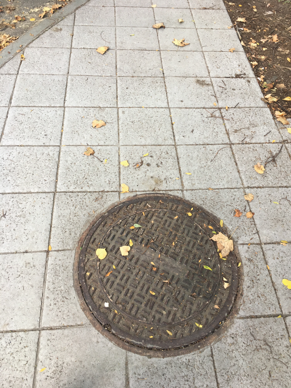 Photo depicts this utility hole is a great example of a circle. It is
also surrounded by square tiles.