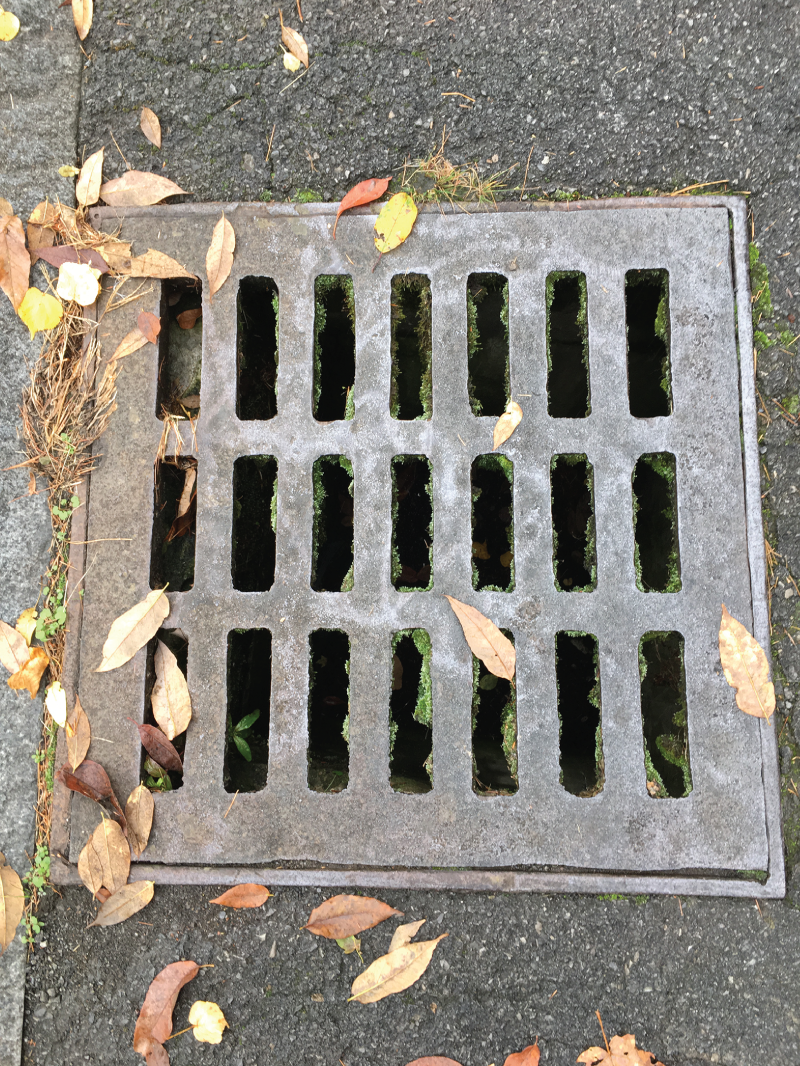 Photo depicts this grate is an excellent example of an array