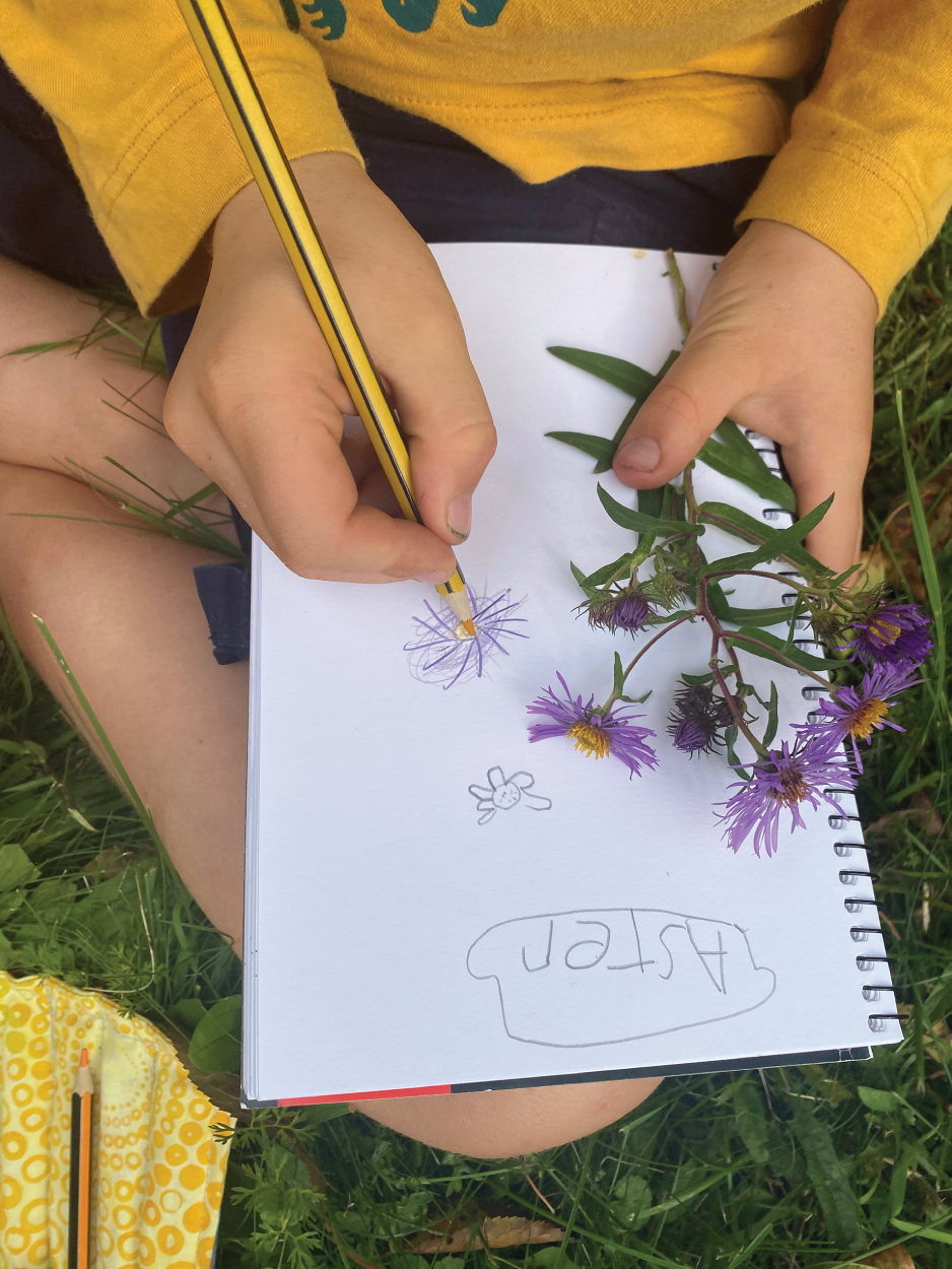 Photo depicts a student works on their nature journal.