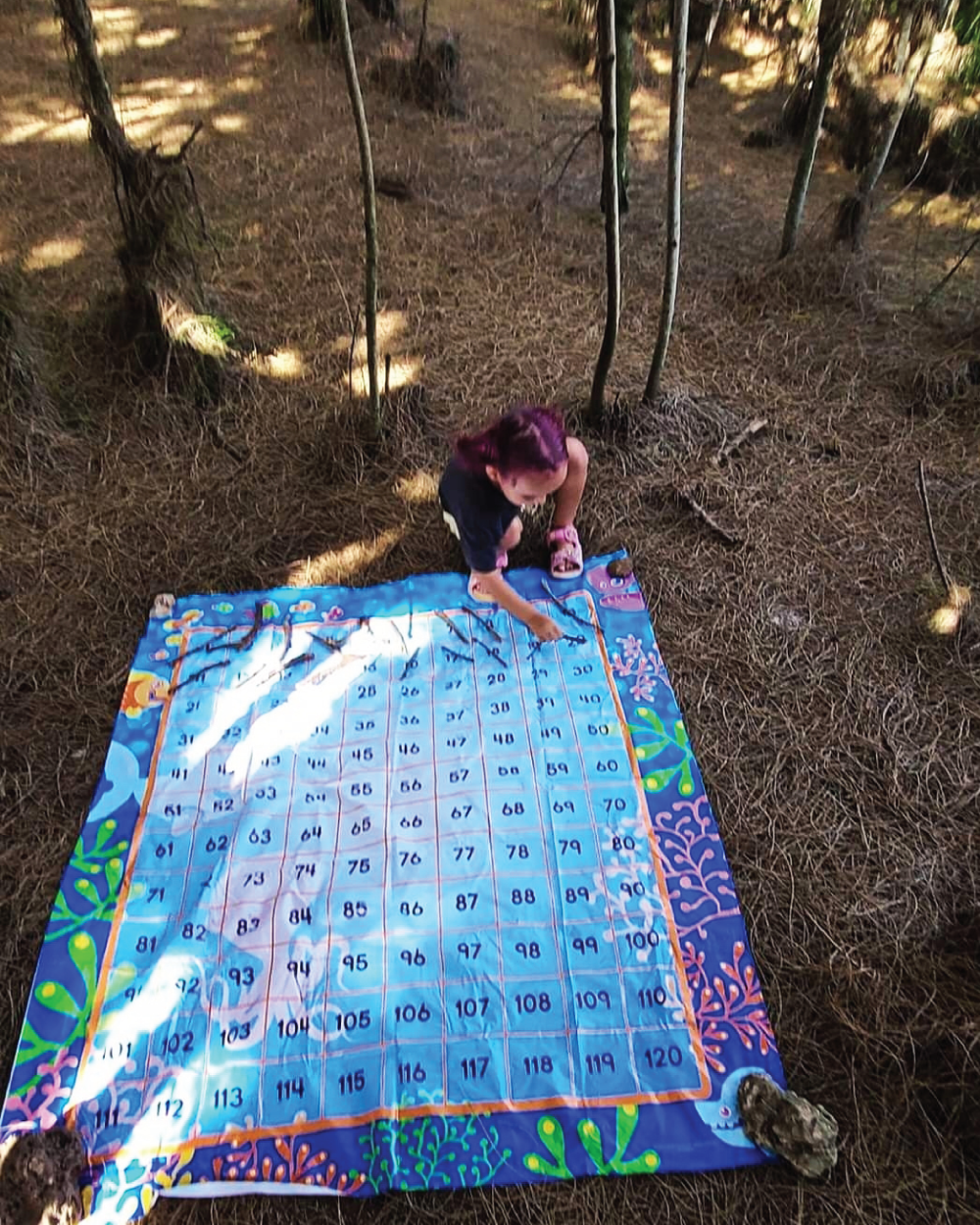 Photo depicts using a giant 100 chart to collect 100 nature items