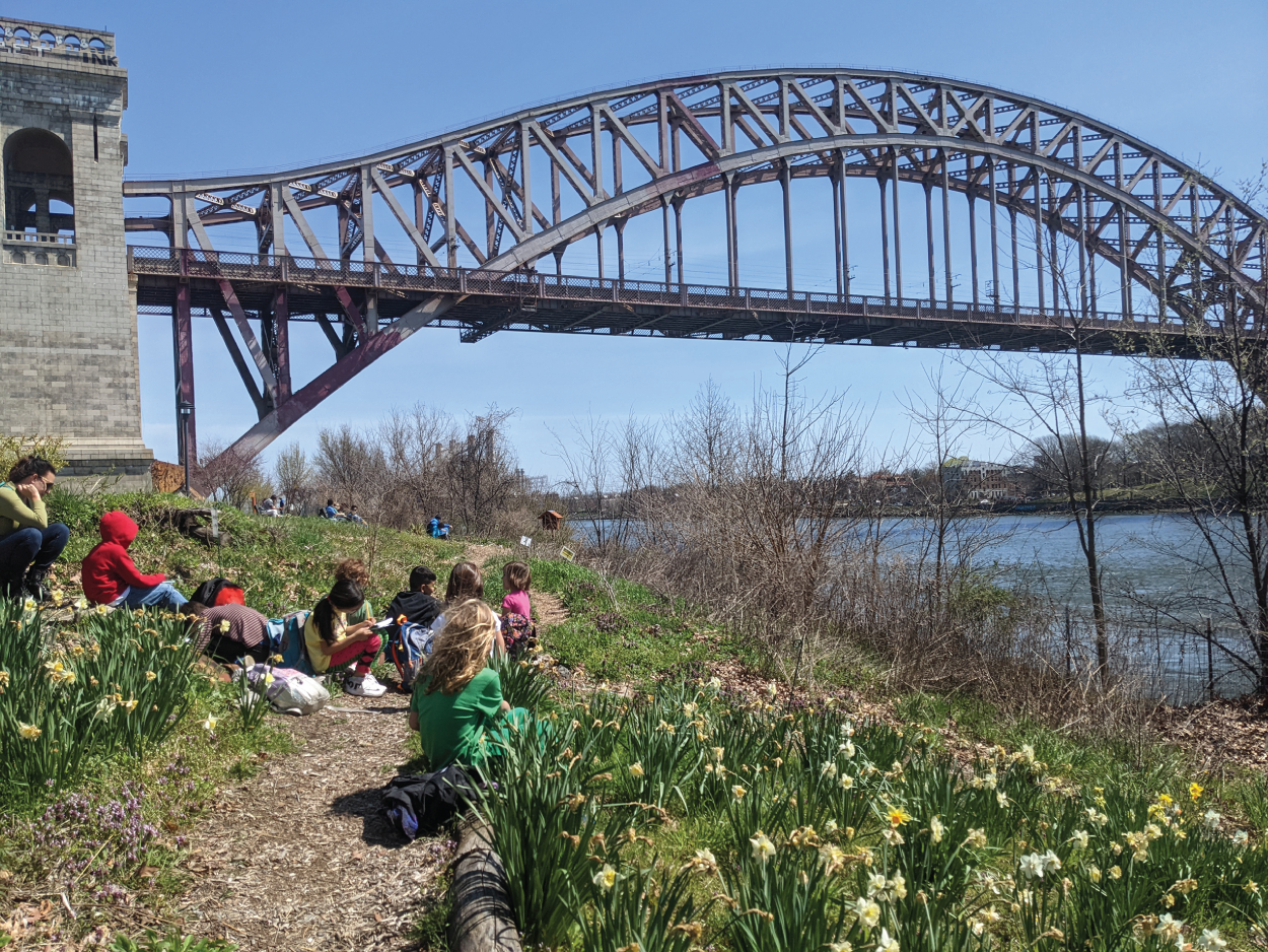 Photo depicts students observing groups of daffodils for multiplication practice.