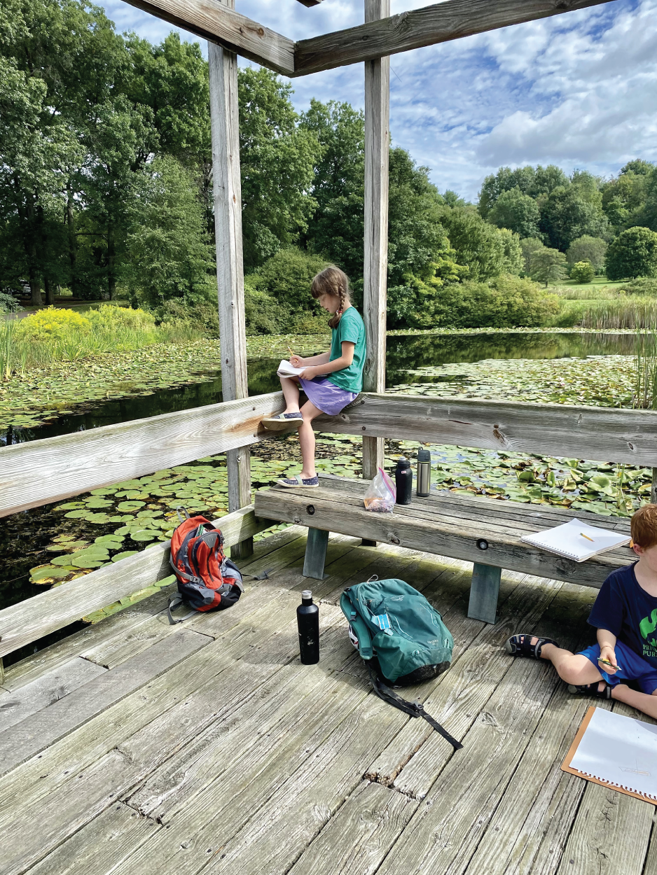 Photo depicts observing waterbirds.