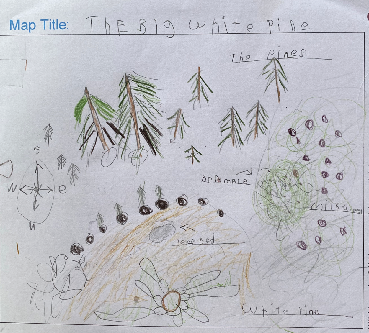 Photo depicts a student map of their sit spot.