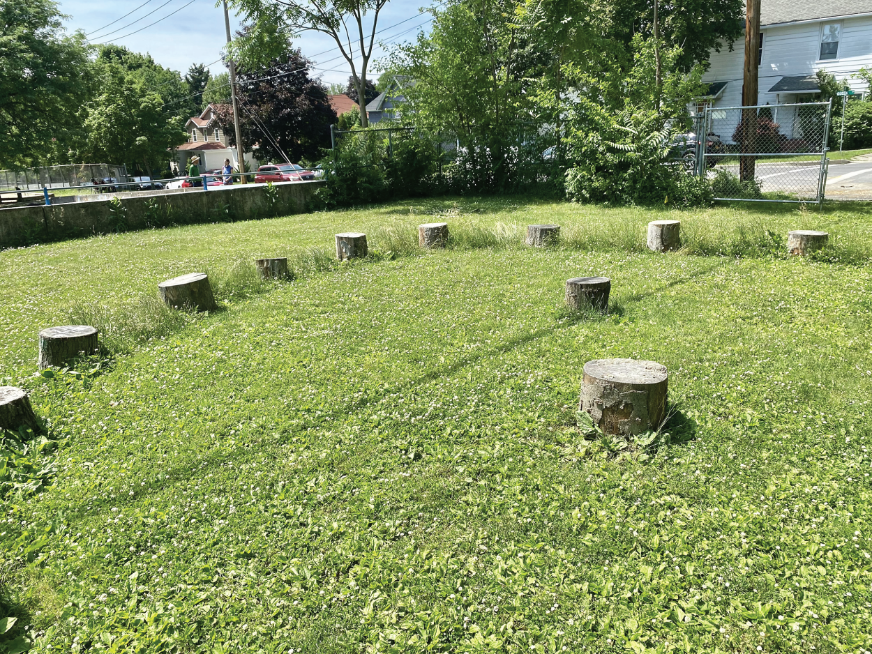 Photo depicts tree stumps set up on school grounds for an outdoor classroom in Ithaca, New York.