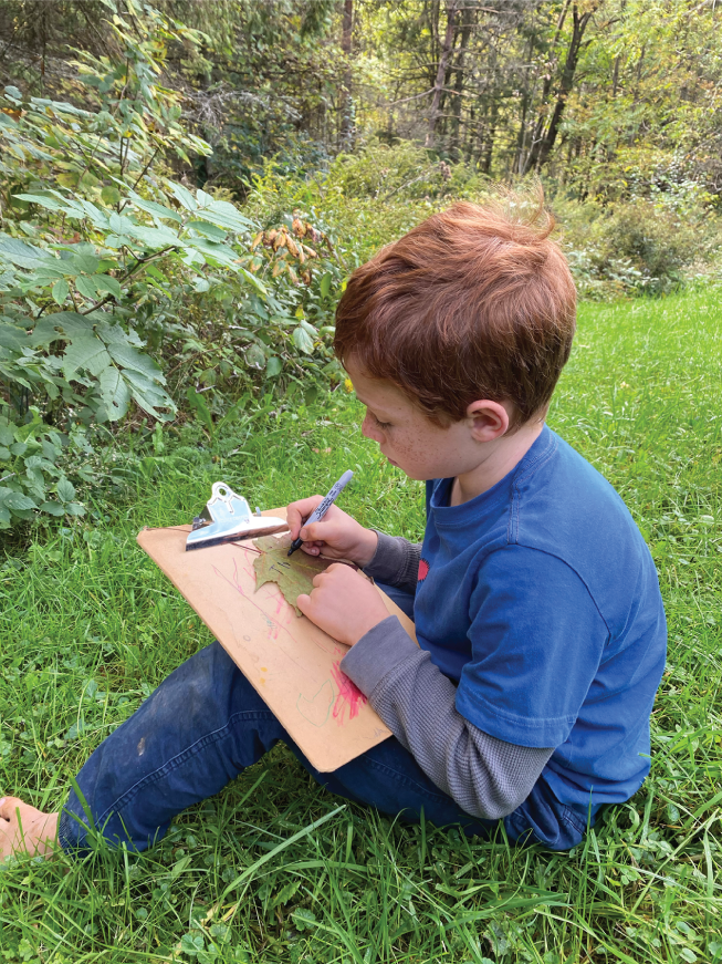 Photo depicts leaves make great surfaces for writing.