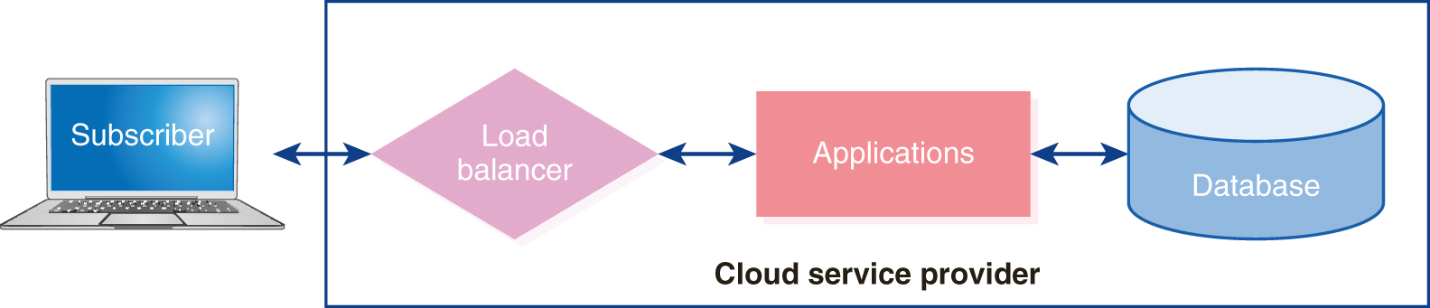 An illustration shows the elements in a subscribed cloud service.