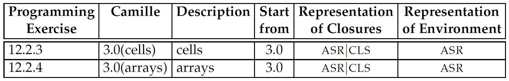 A table of the descriptions and representations of Camille in different programming exercises.