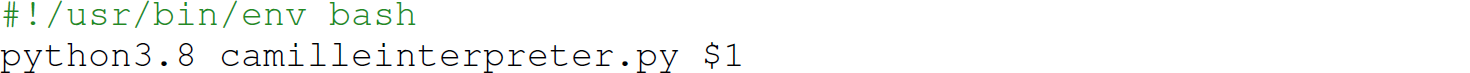 A set of two code lines in Camille with a bash script.