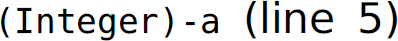 Left parenthesis, Integer, right parenthesis, minus a, left parenthesis, line 5, right parenthesis.