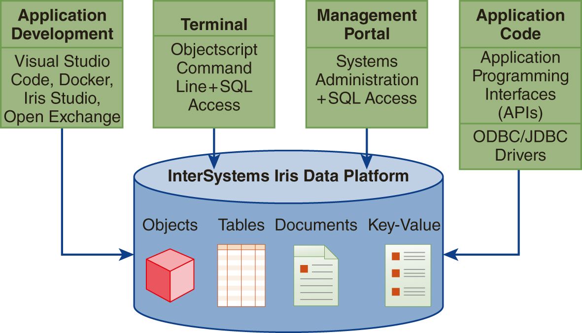 The Inter Systems Iris Data Platform consists of Cube, Tables, Documents, and Key value. The 4 blocks connected to the Inter Systems Iris Data Platform are Application Development, Terminal, Management Portal, and Application Code. Application Development block consists of Visual Studio Code, Docker, Iris Studio, and Open Exchange. Terminal consists of Object script Command Line plus S Q L access. Management Portal consists of Systems Administration plus S Q L access. Application code consist of Application Programming Interfaces A P I s and O D B C slash J D B C drivers. 