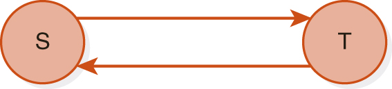 A graph with 2 nodes labeled S and T. An edge is directed from S to T and another edge is directed from T to S. 
