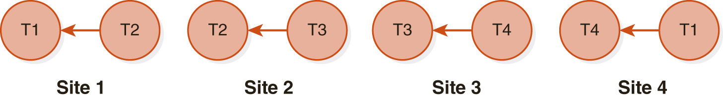4 sites labeled Site 1, Site 2, Site 3, and Site 4 are marked. Each site has 2 nodes. The nodes of Site 1 are T 1 and T 2. A directed edge is drawn between T 2 and T 1. The nodes of Site 2 are T 2 and T 3. A directed edge is drawn from T 3 to T 2. The nodes of site 3 are T 3 and T 4. A directed edge is drawn from T 4 to T 3. The nodes of site 4 are T 1 and T 4. A directed edge is drawn from T 1 to T 4. 

