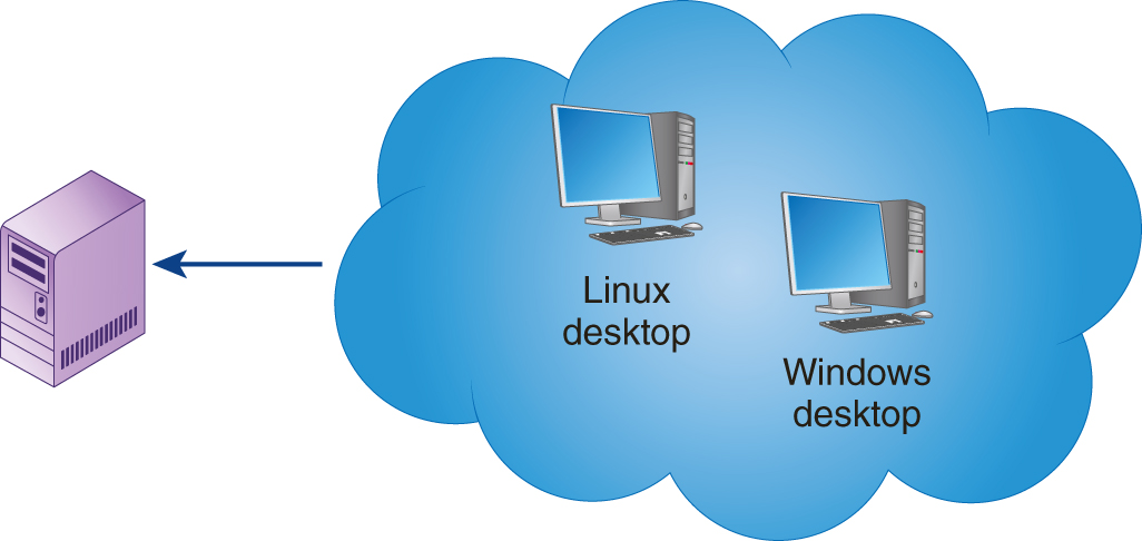 An illustration shows Linux desktop and Windows desktop in a cloud leading to a single server outside the cloud.
