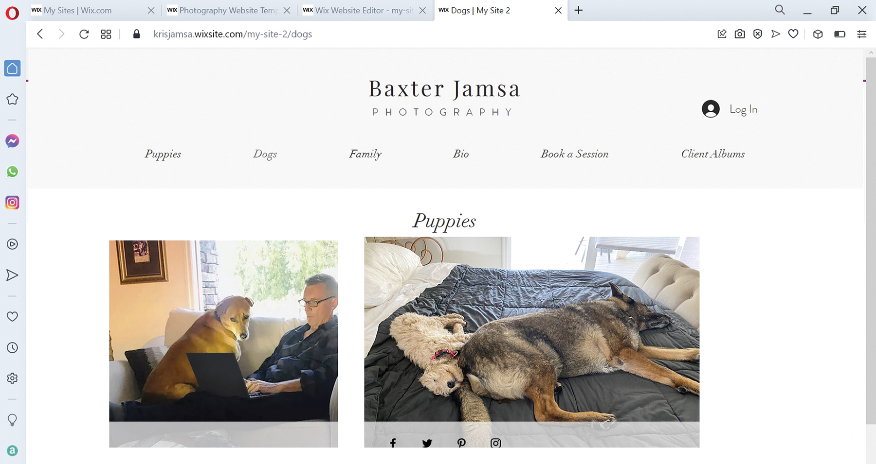 The address bar of the page reads as krisjamsa dot wixsite dot com slash my hyphen site hyphen 2 slash dogs. The page is titled Baxter Jamsa Photography. Log In button is at top right of the page. Puppies, dogs, family, bio, book a session, and client albums are the menus at the top. Two photos are placed under the head Puppies. A dog watches a laptop in one photo and two dogs are sleeping on bed in the other photo.