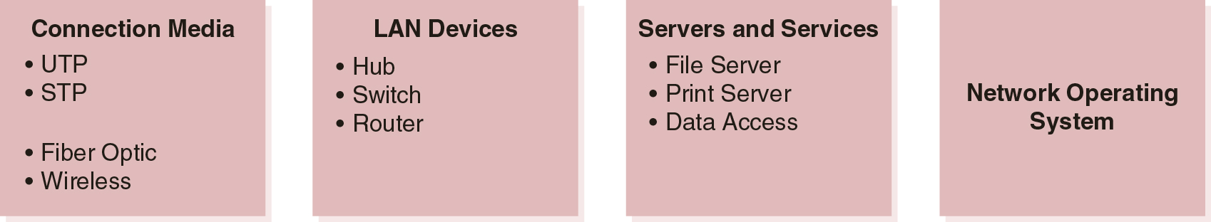 Common components in the LAN Domain.