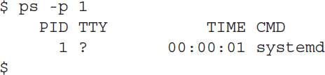 An output displays the program assigned process I D using the p s command.