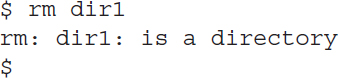 Line 1: dollar space r m space d i r 1. Line 2: r m colon space d i r 1 colon space is a directory. Line 3: dollar.