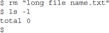 Line 1: dollar space r m space double quote long space file space name dot t x t double quote. Line 2: dollar space l s space hyphen l. Line 3: total space 0. Line 4: dollar.