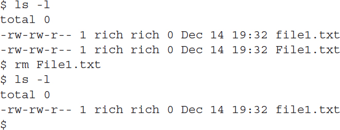 An output shows the usage of r m command against files with similar names but with different cases.