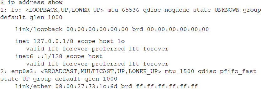 Listing shows the i p address output.