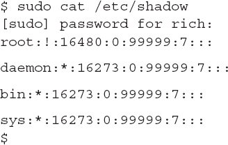 An output shows the usage of the sudo command with cat as the parameter.