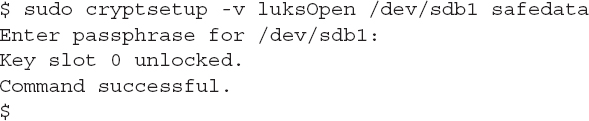 An output shows the encrypted partition made available for use by using the luks Open option.