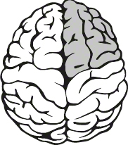 An illustration shows a brain with its top-right quadrant shaded.