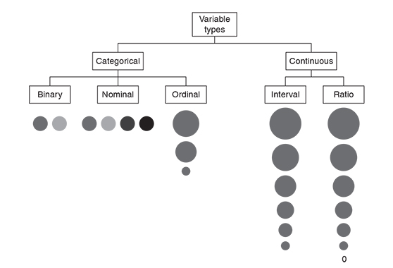A flowchart showing types of variable. 