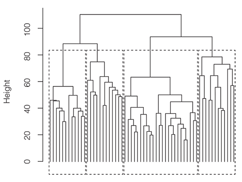 A graph showing a much complex dendrogram which looks like a long chart with sub groups and those sub groups further divided into more sub groups.