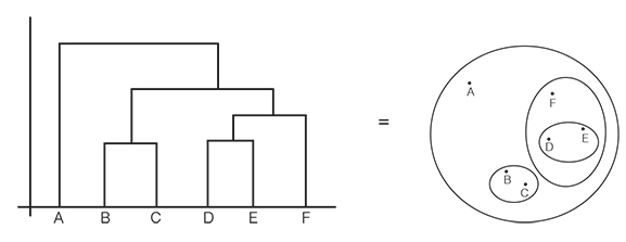An illustration showing a dendrogram and a similarity map.
