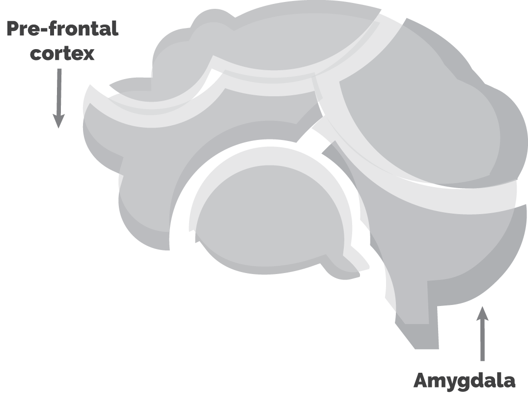 Schematic illustration of amygdala hijack.
