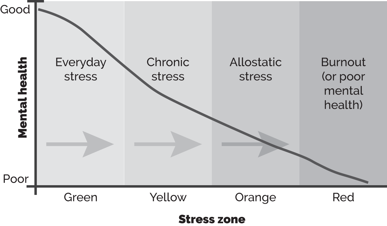 Schematic illustration of four phases of the stress cycle.