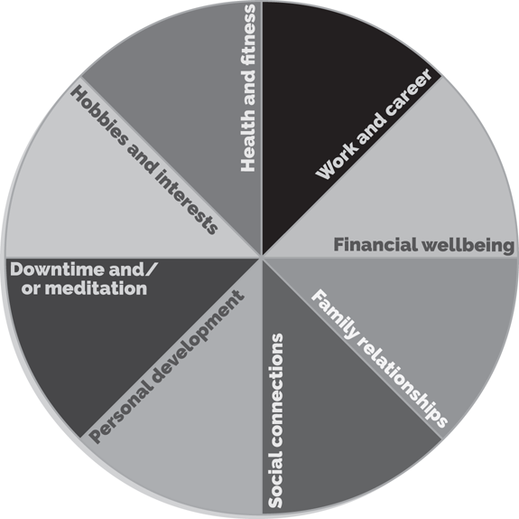 Schematic illustration of a balanced wheel of life.