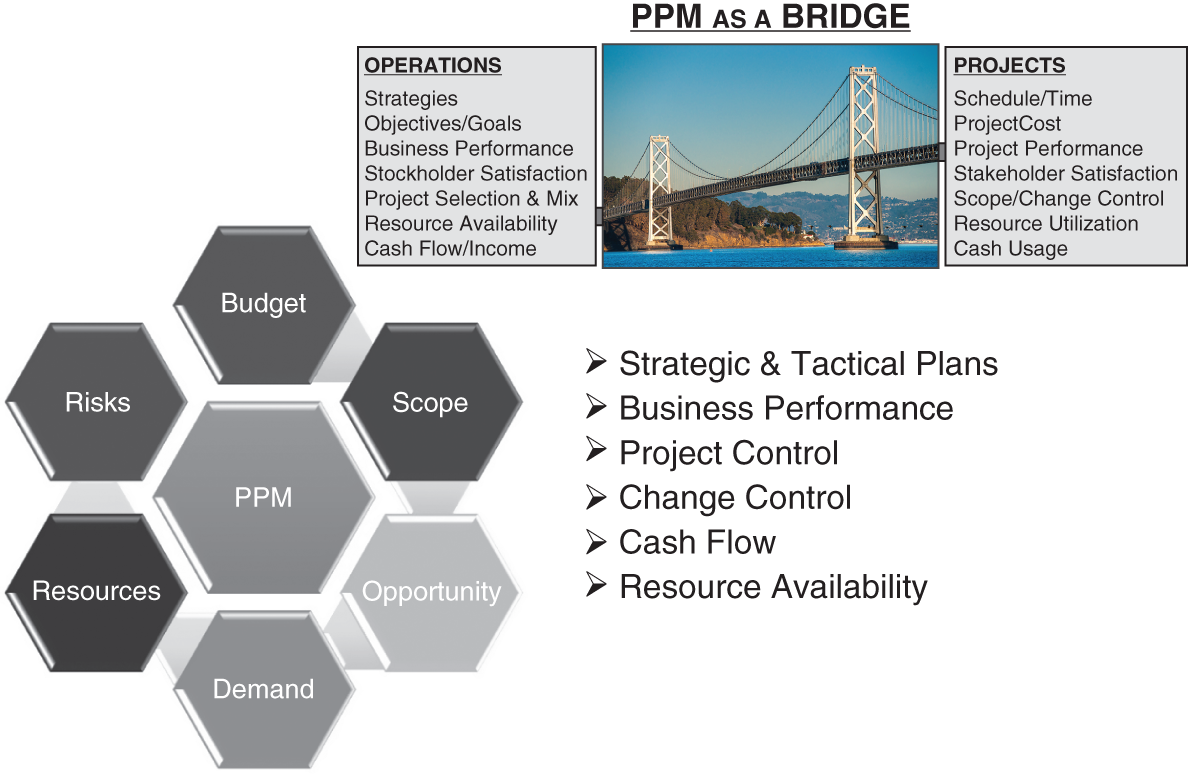 Schematic illustration of is PPM a bridge or a hub?