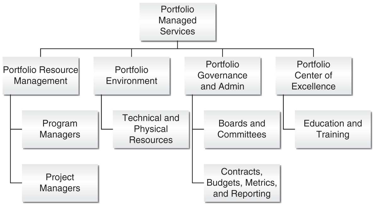 Schematic illustration of portfolio governance operational model.