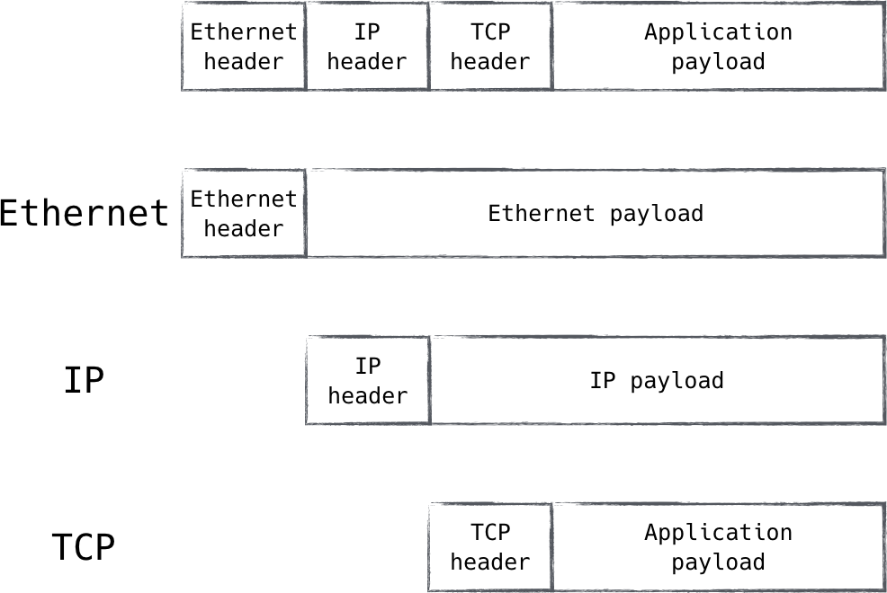 Lower network layers transport higher layer traffic in their payload fields  creating a nested structure inside a single packet