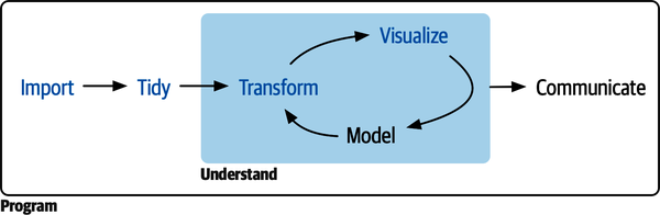 A diagram displaying the data science cycle: Import -> Tidy -> Understand  (which has the phases Transform -> Visualize -> Model in a cycle) -> Communicate. Surrounding all of these is Program Import, Tidy, Transform, and Visualize is highlighted.