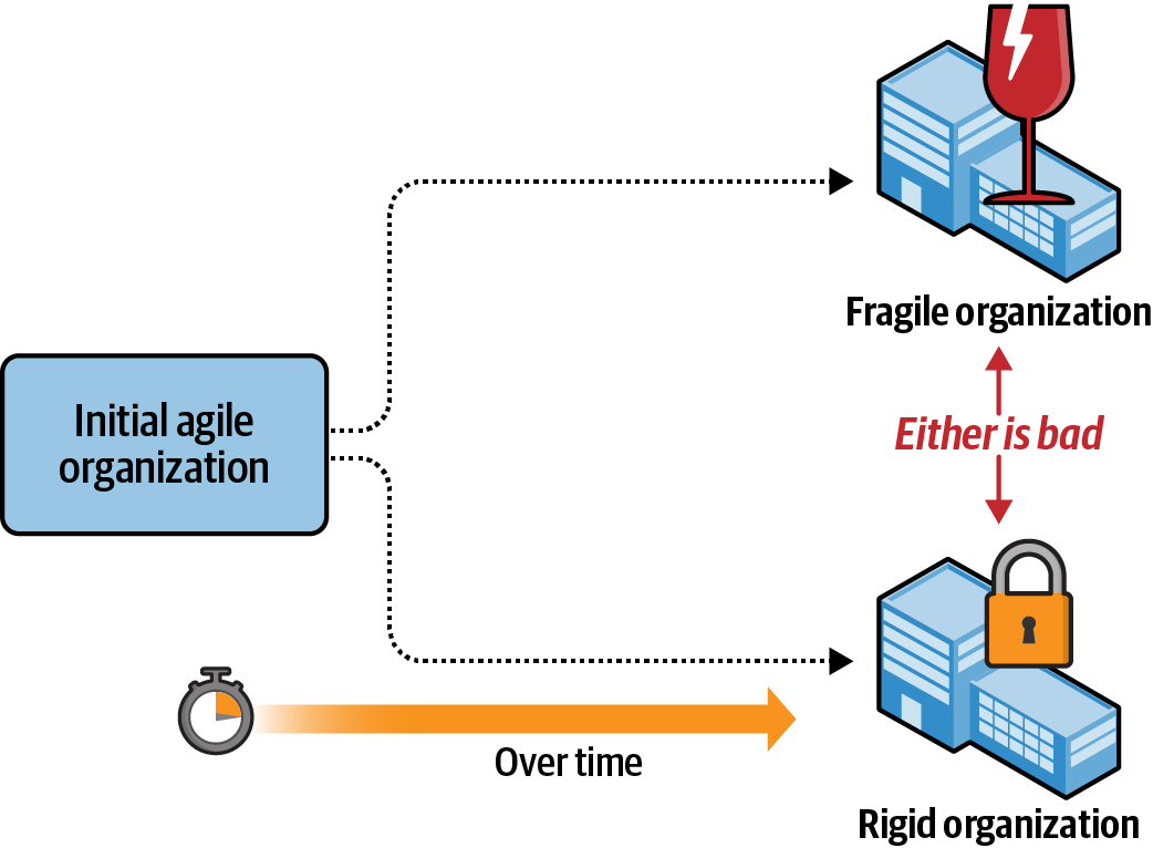 An agile organization may fail over time by becoming either rigid or fragile